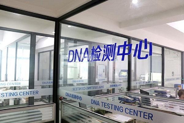 亳州DNA检测收费标准（选择更合适的DNA检测套餐，省钱又准确） 